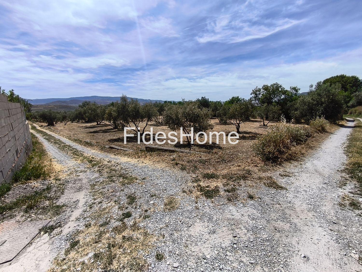 Plot for Sale in Nigüelas