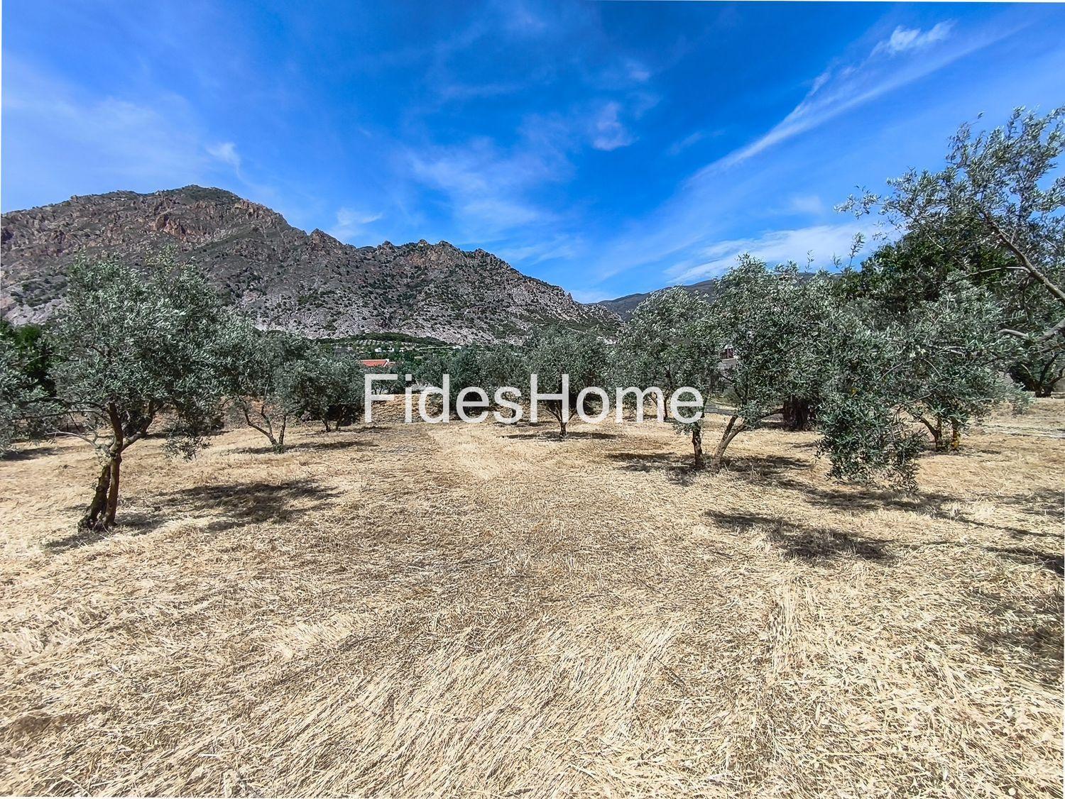 Plot for Sale in Nigüelas