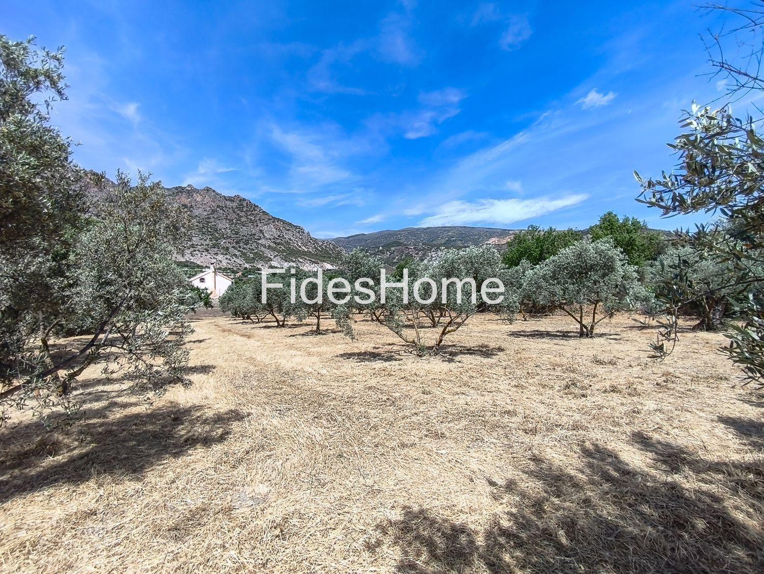 Plot for Sale in Nigüelas
