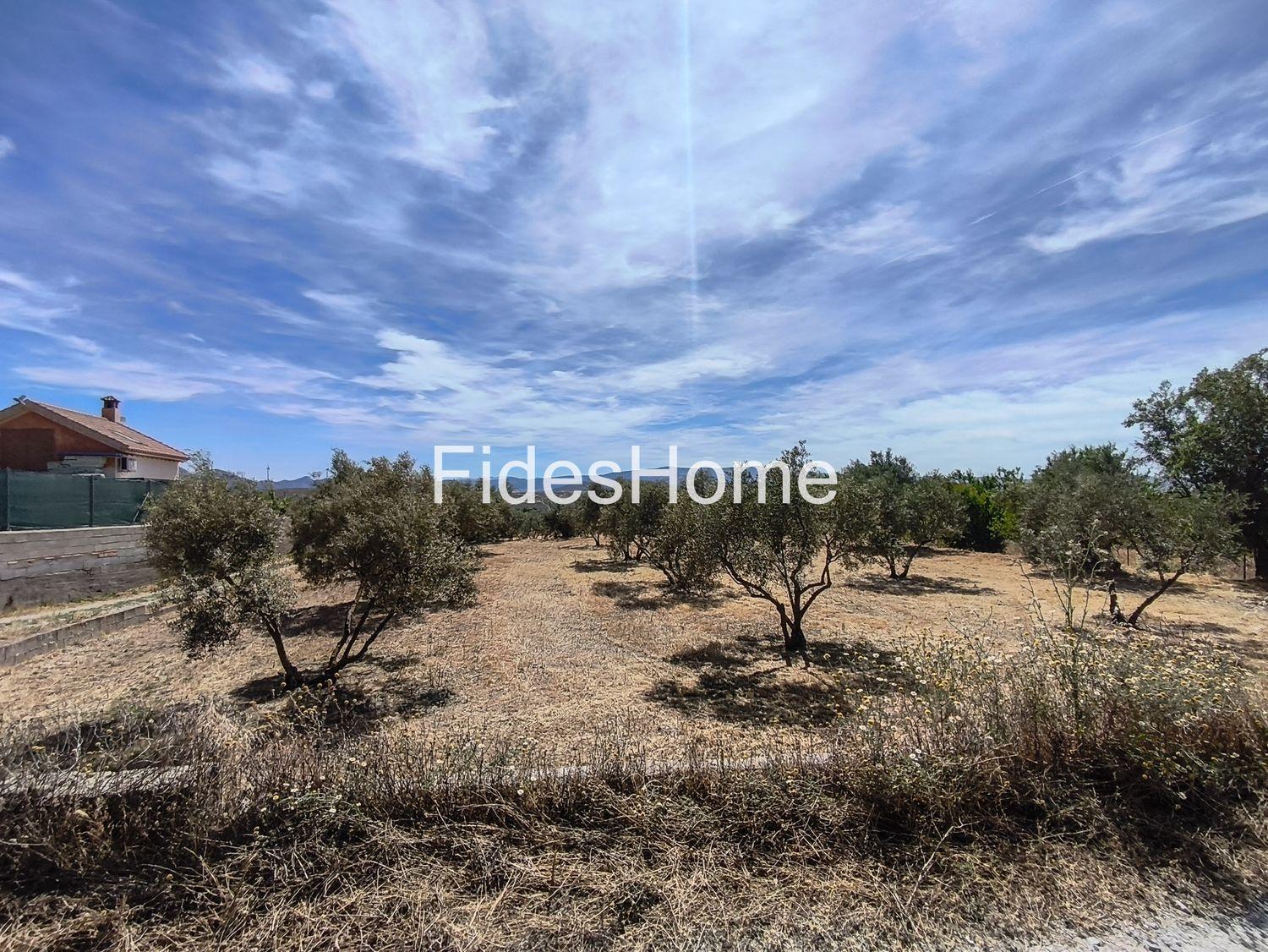 Plot for Sale in Nigüelas