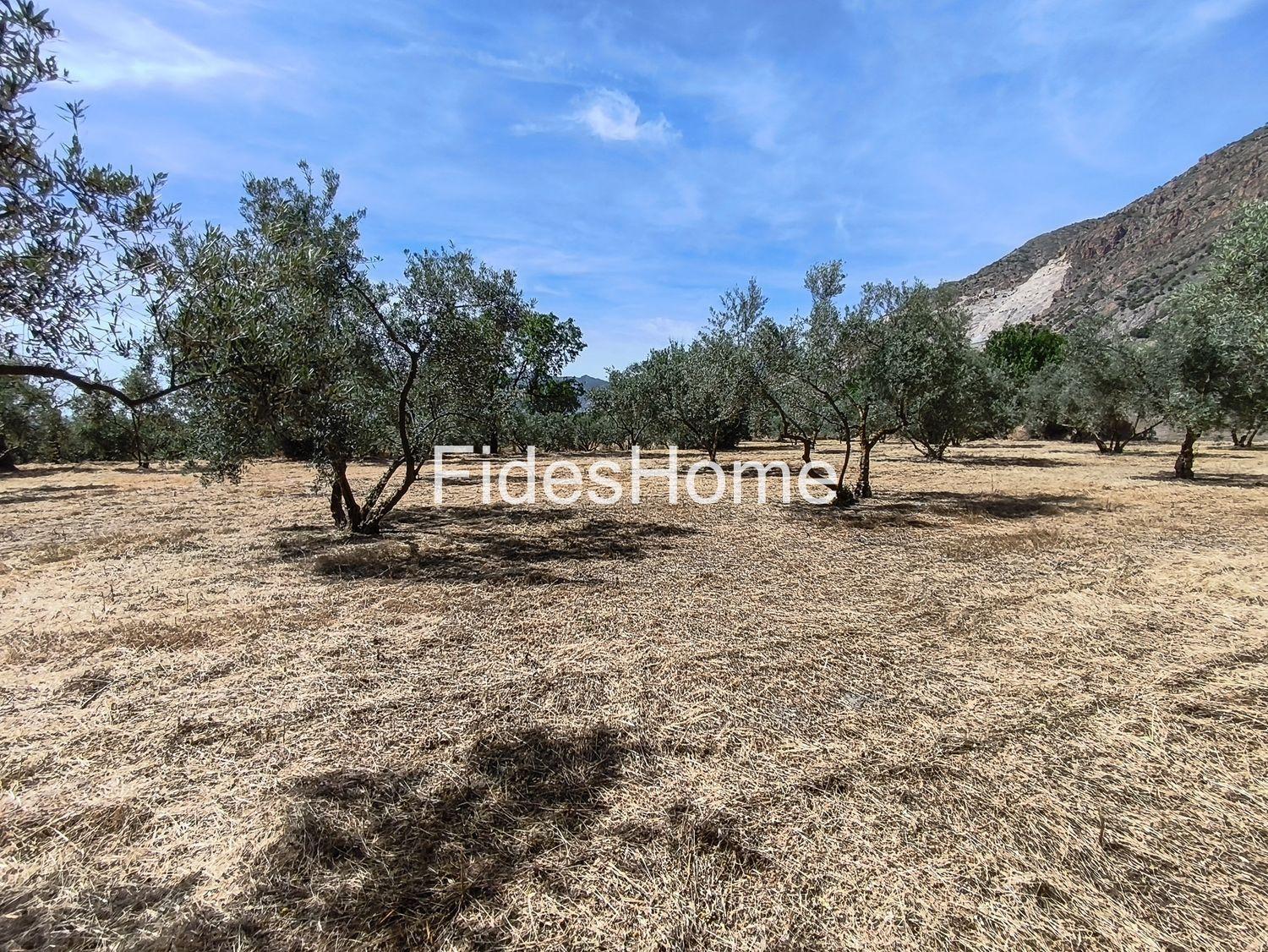 Plot for Sale in Nigüelas