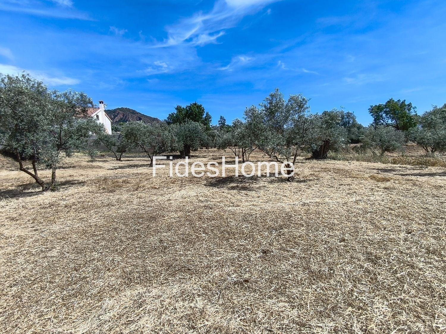 Plot for Sale in Nigüelas