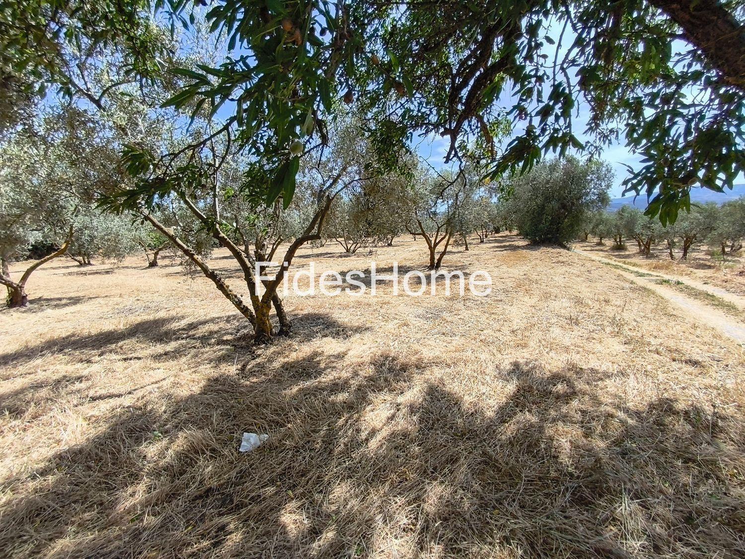 Plot for Sale in Nigüelas