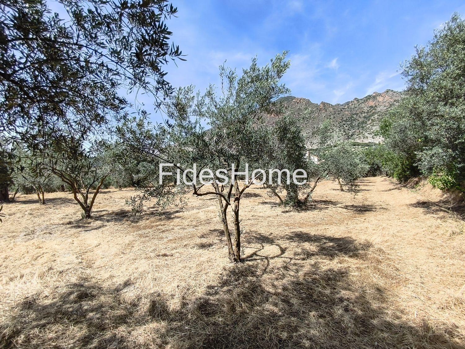 Plot for Sale in Nigüelas