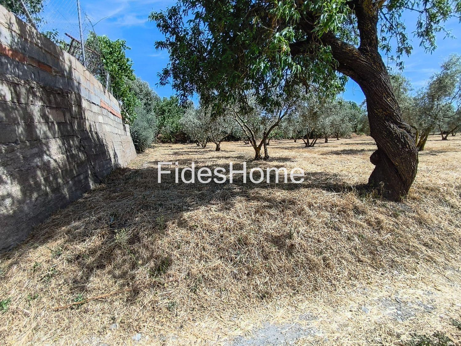 Plot for Sale in Nigüelas