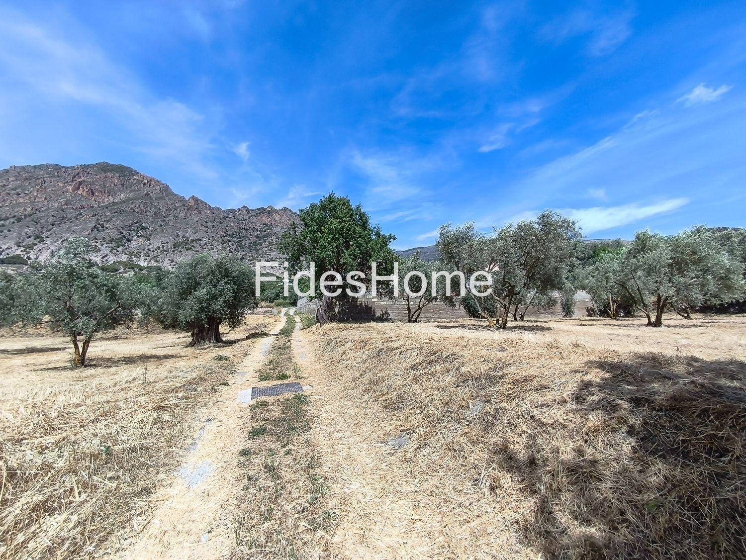 Plot for Sale in Nigüelas