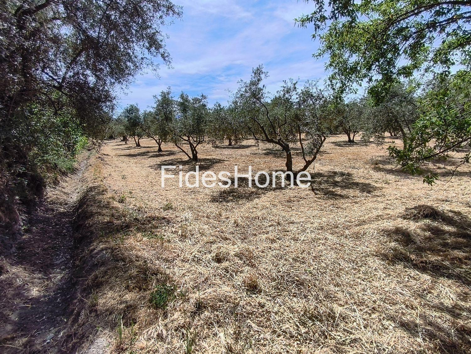Plot for Sale in Nigüelas
