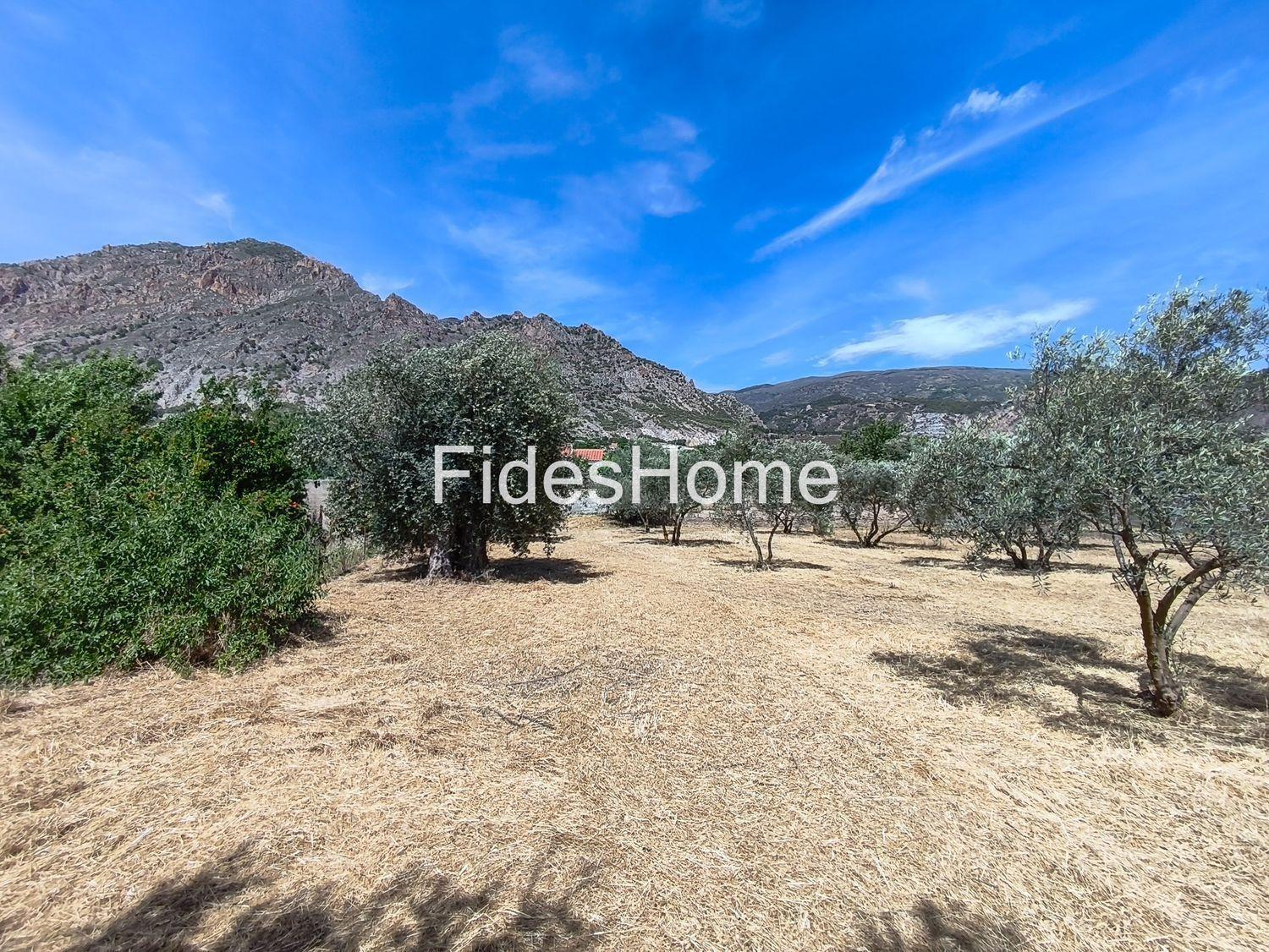 Plot for Sale in Nigüelas