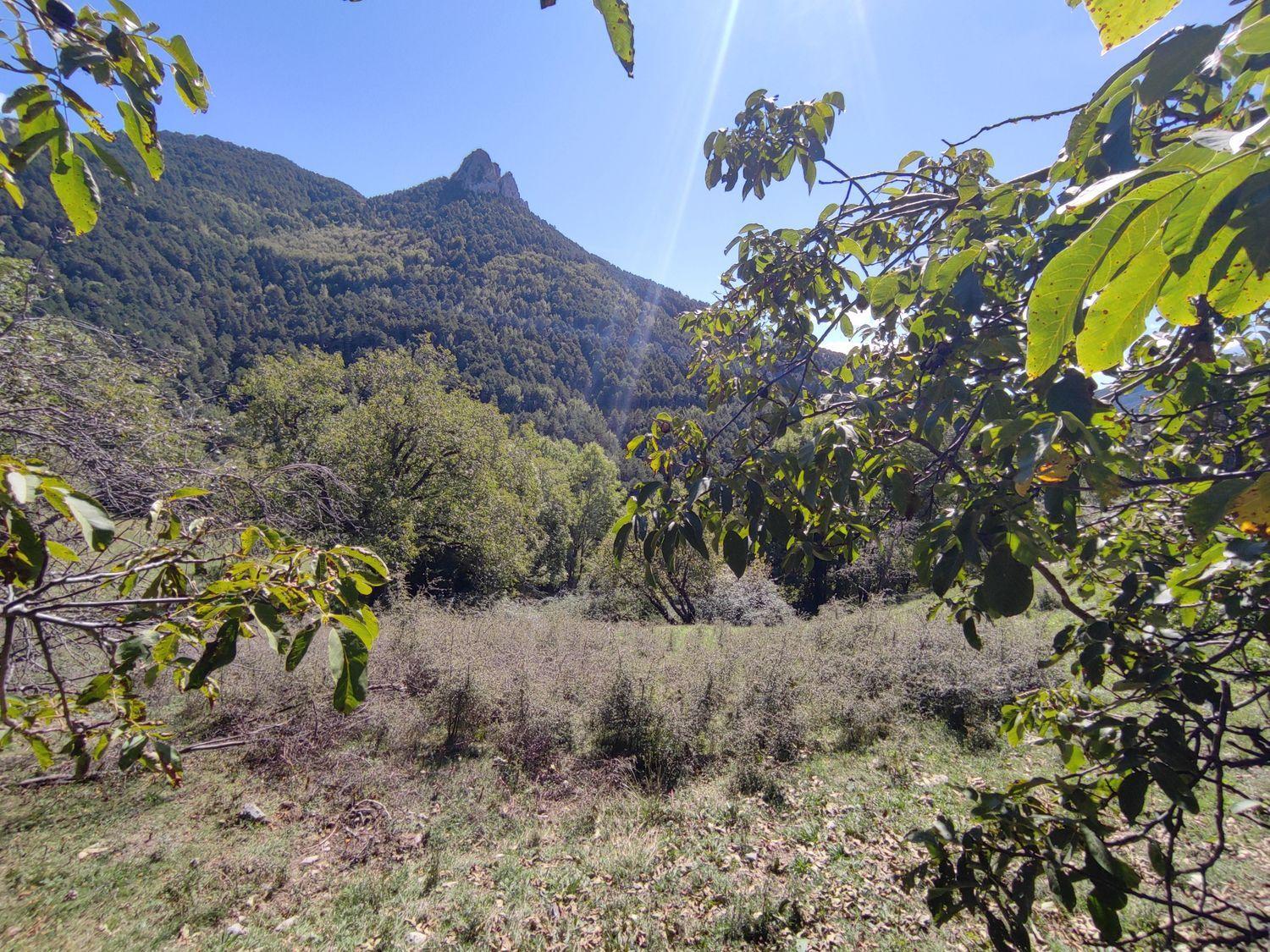 House for Sale in Tella-Sin