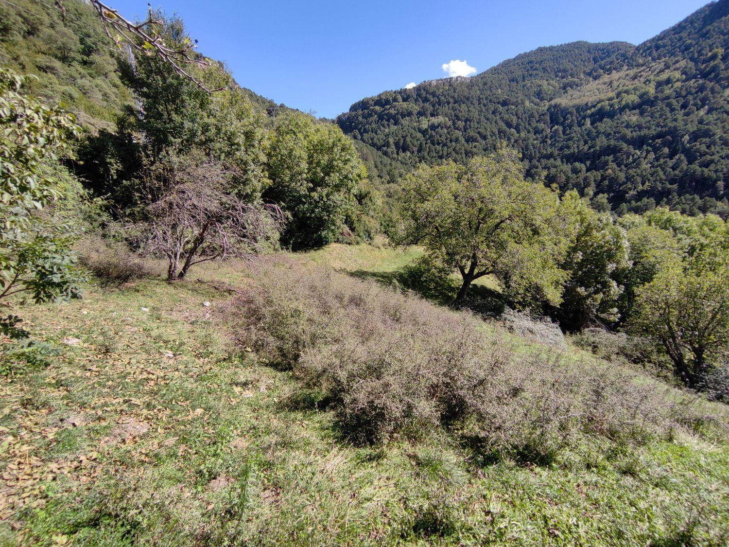 House for Sale in Tella-Sin
