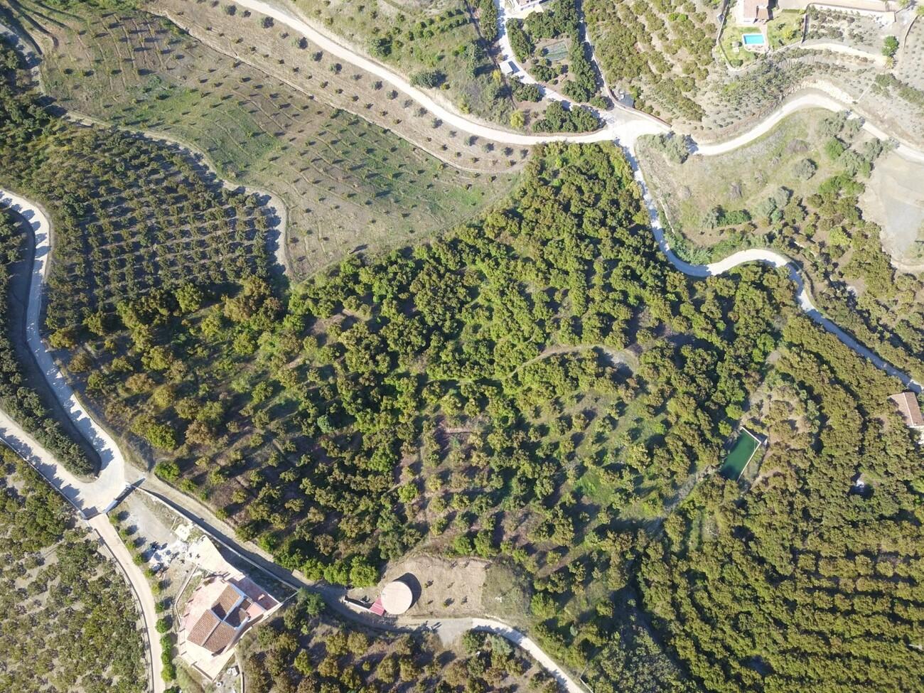 Building Site for Sale in Frigiliana
