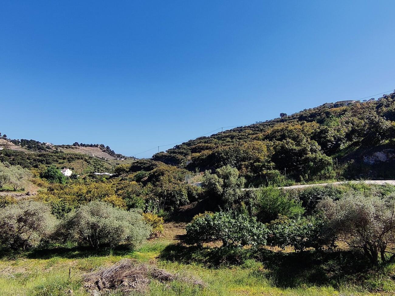 Building Site for Sale in Frigiliana