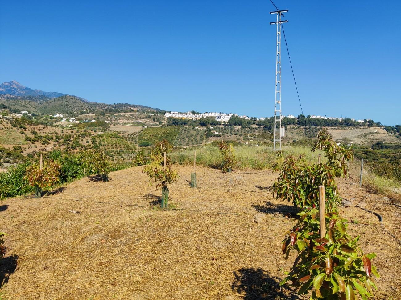 Building Site for Sale in Frigiliana