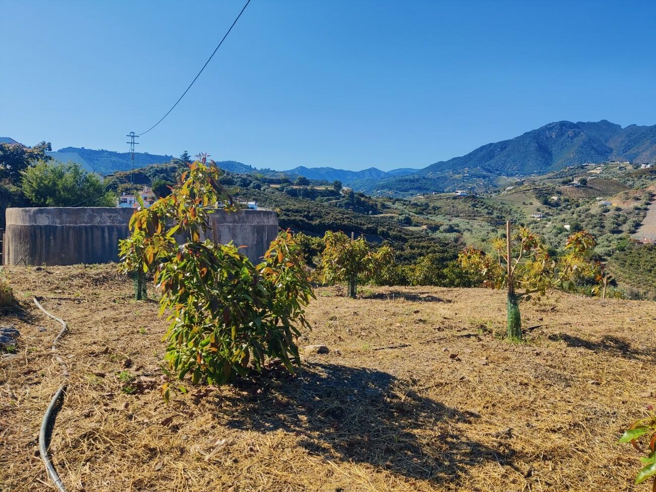 Building Site for Sale in Frigiliana