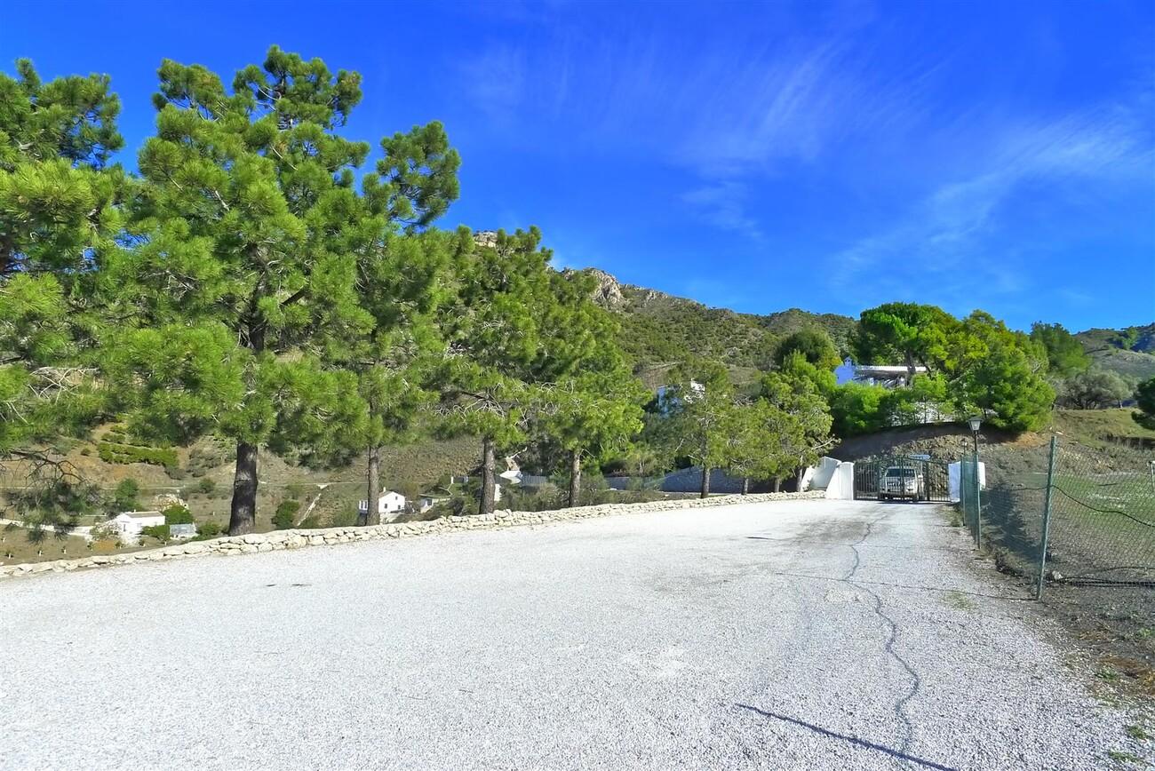 Finca en Venta en Frigiliana