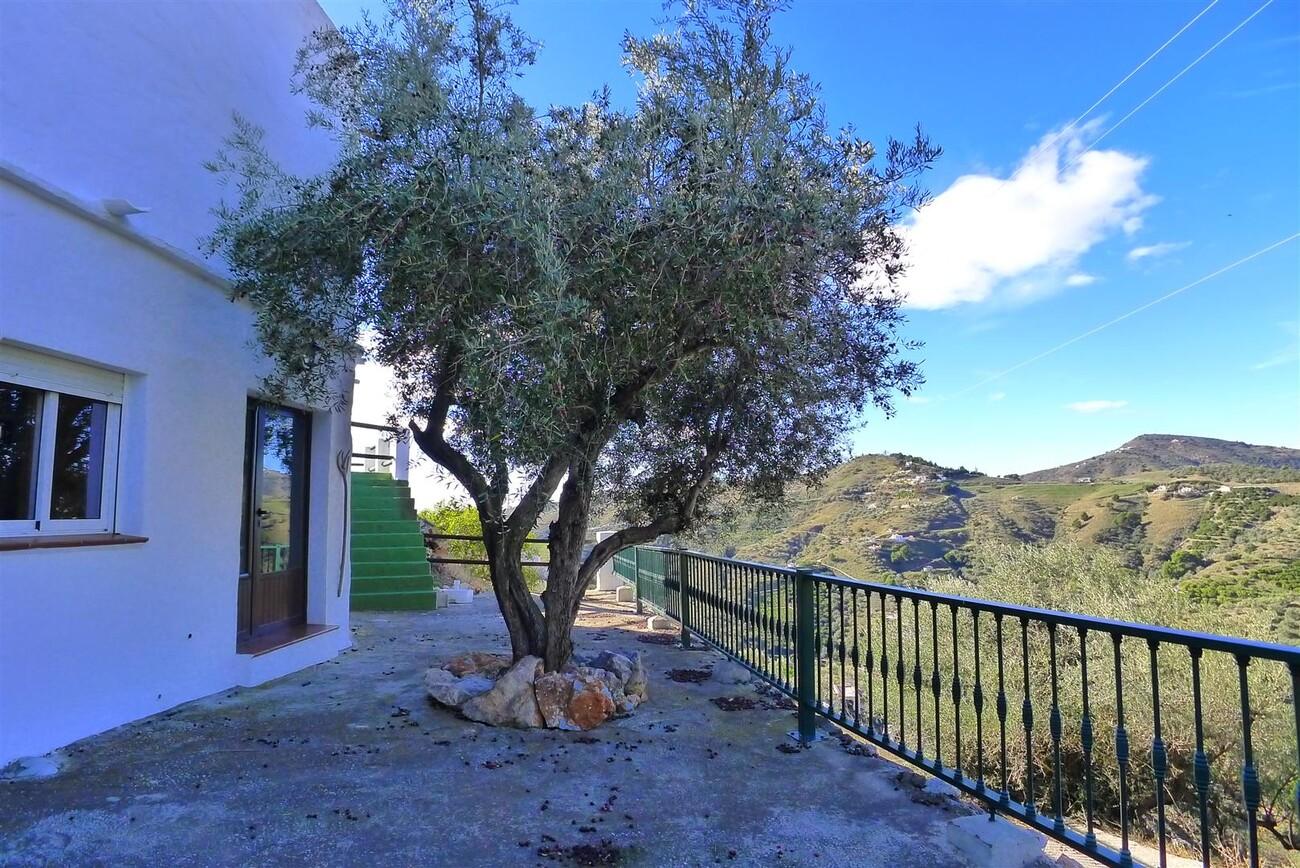 Finca en Venta en Frigiliana