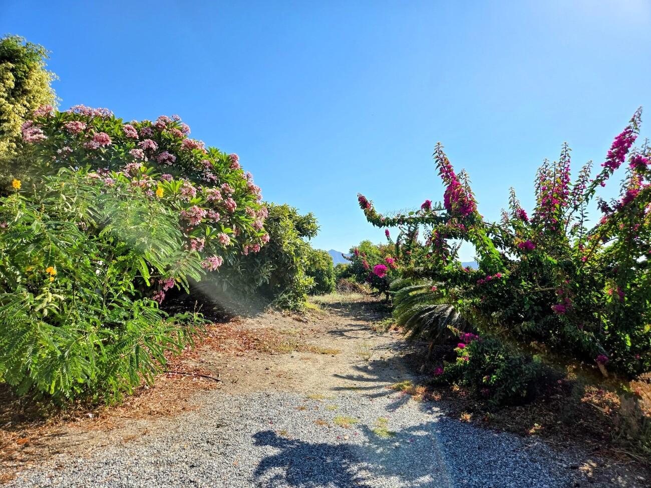 Villa for Sale in Nerja