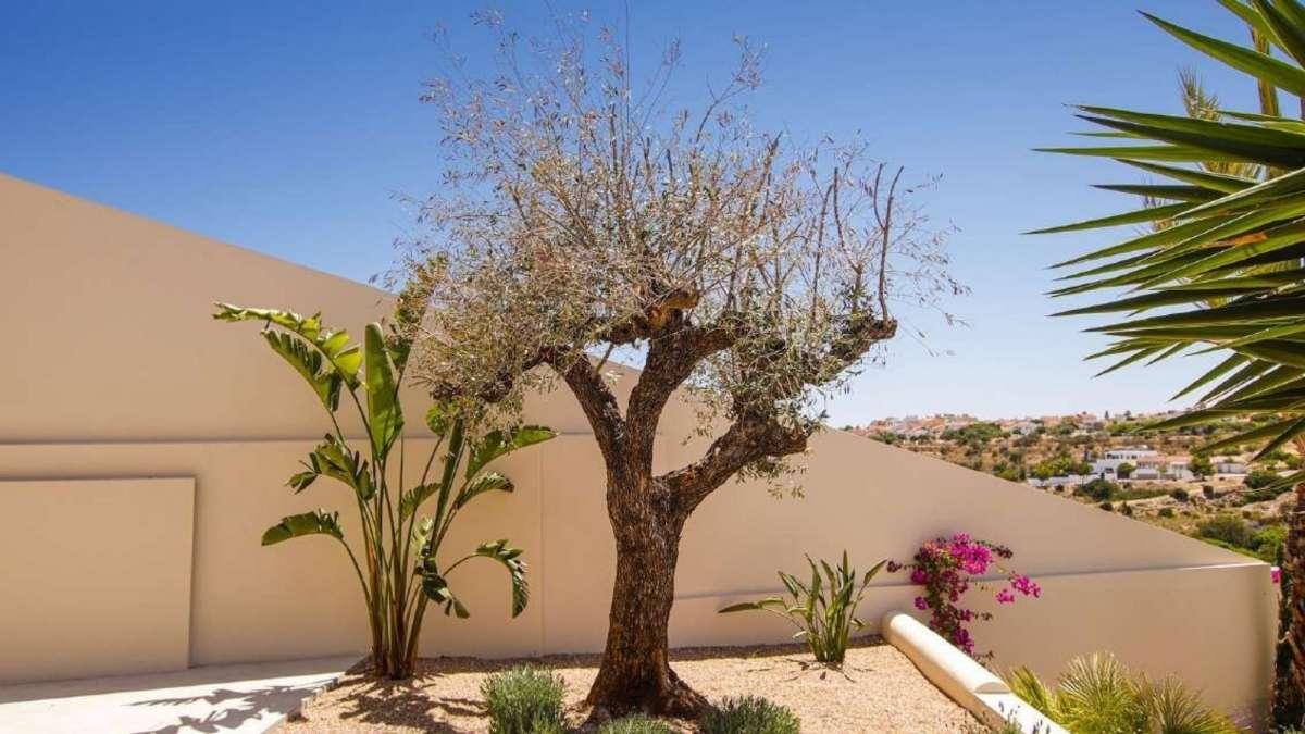 Villa en Venta en Elche
