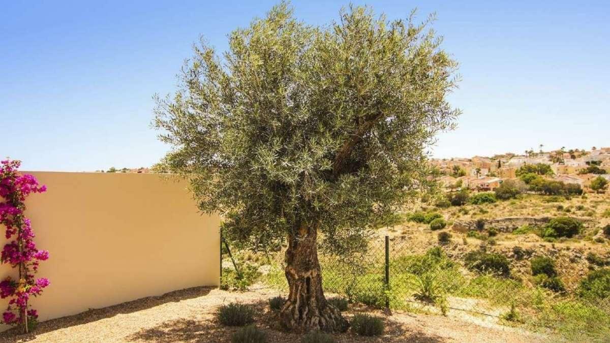 Villa en Venta en Elche