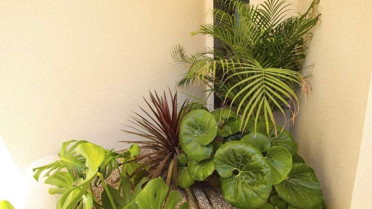 Villa en Venta en Elche
