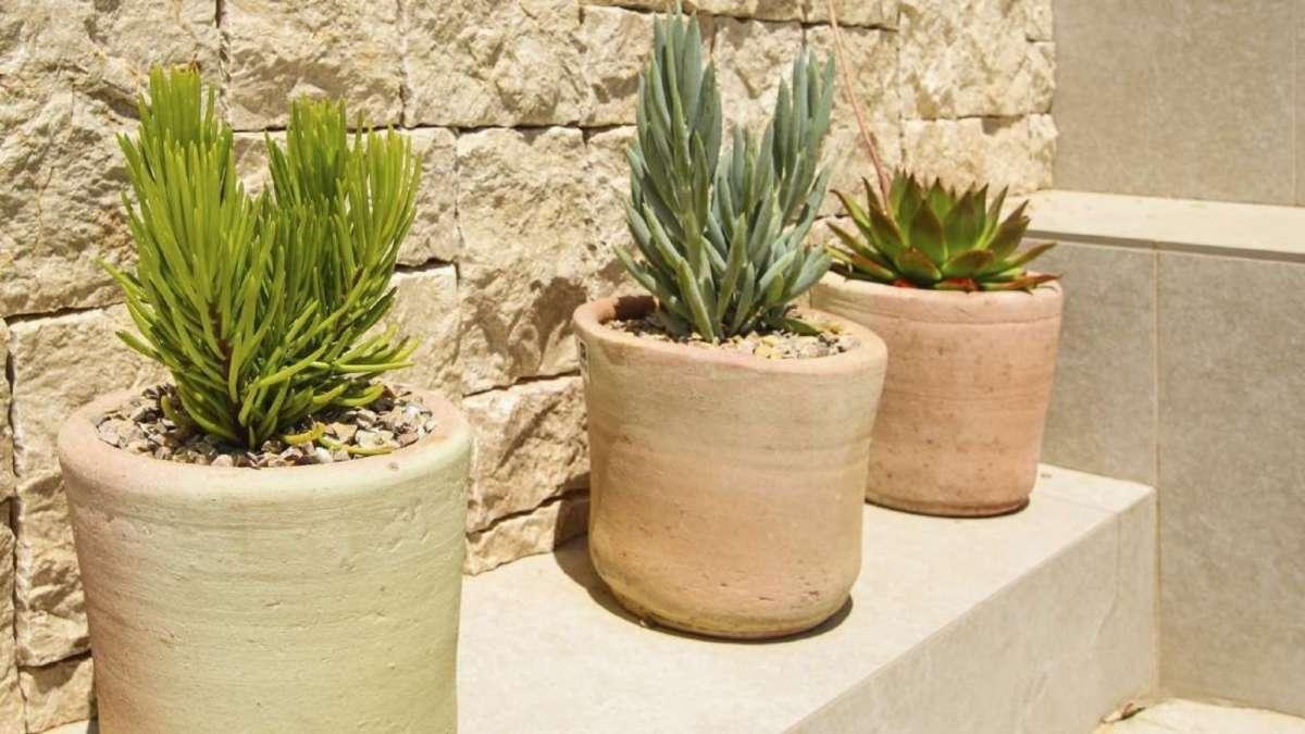 Villa en Venta en Elche