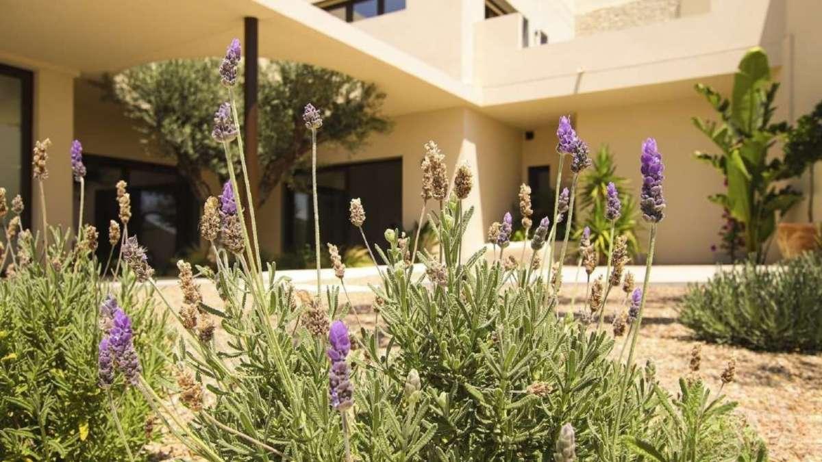 Villa en Venta en Elche