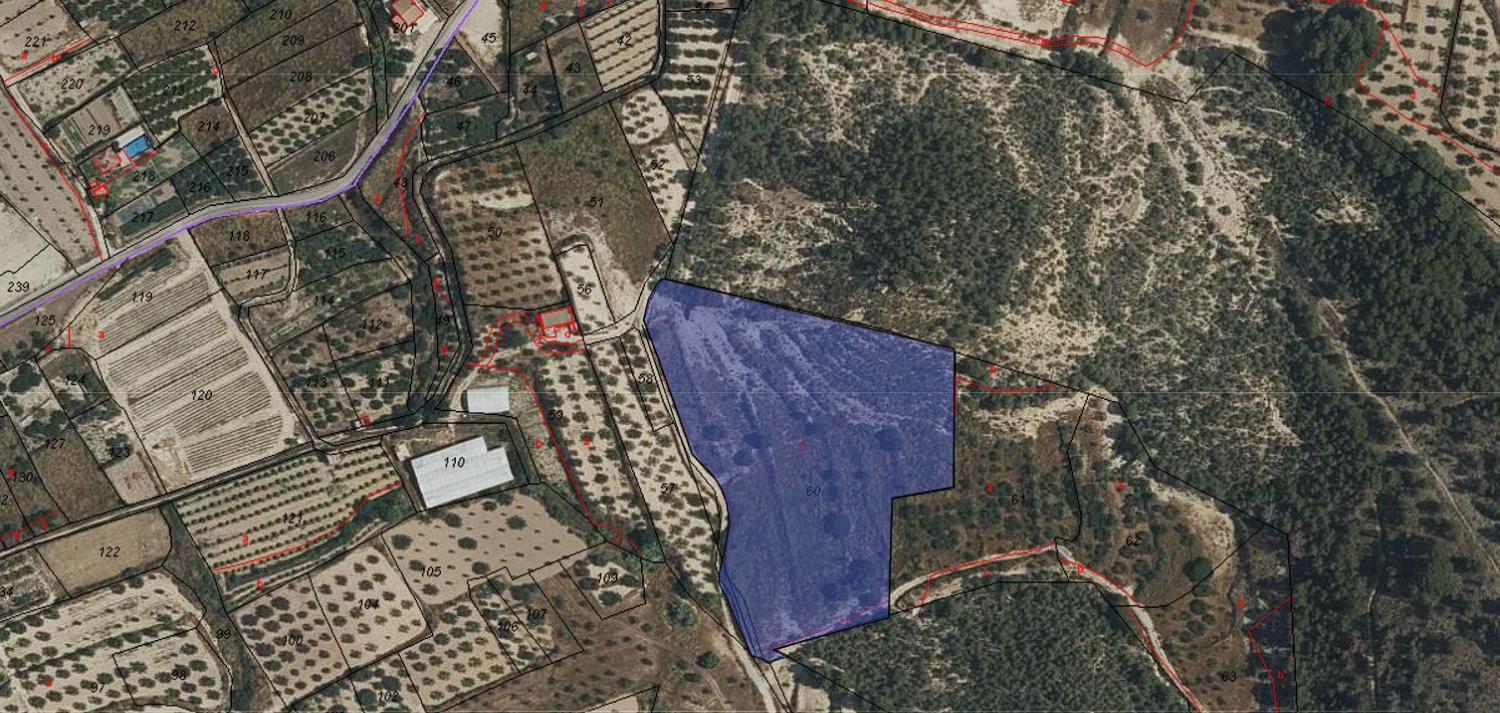 Plot for Sale in Pliego