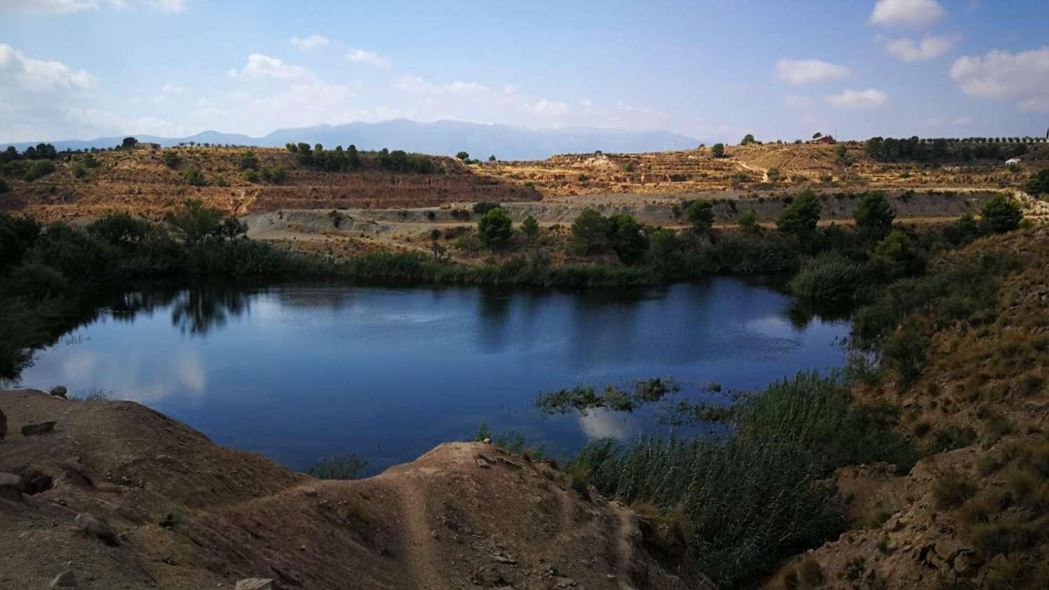 Finca en Venta en Mula
