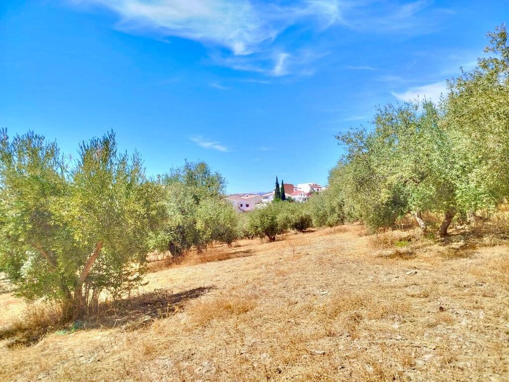 Building Site for Sale in Periana