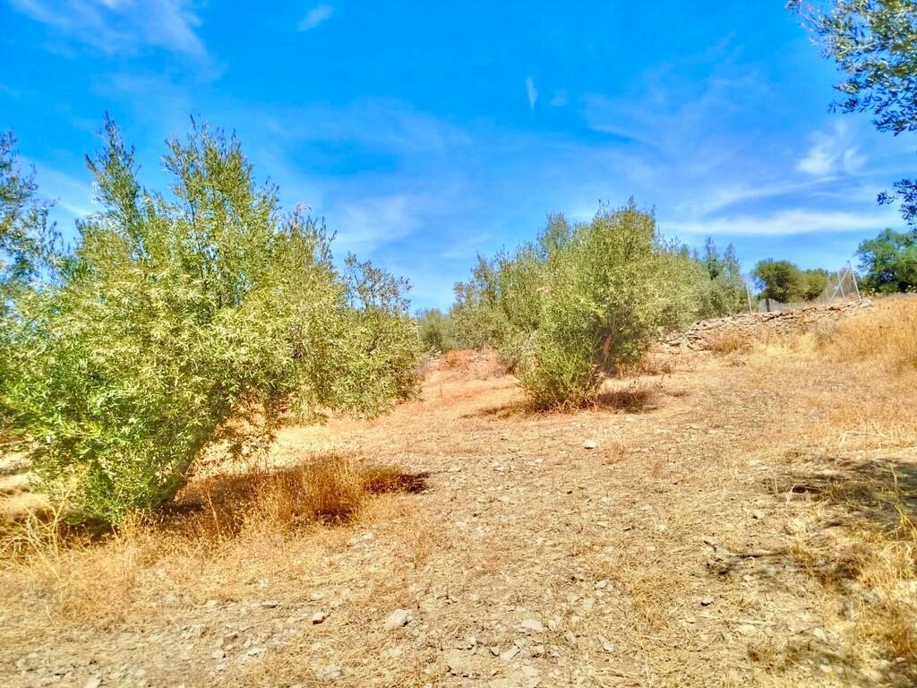 Building Site for Sale in Periana