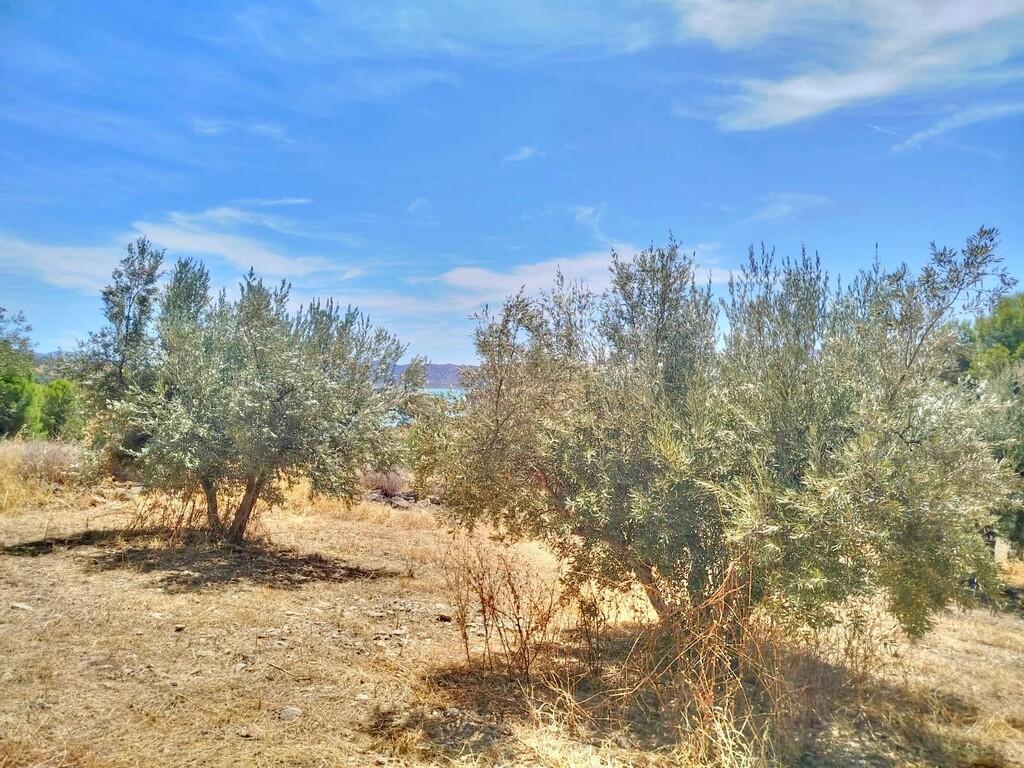 Building Site for Sale in Periana