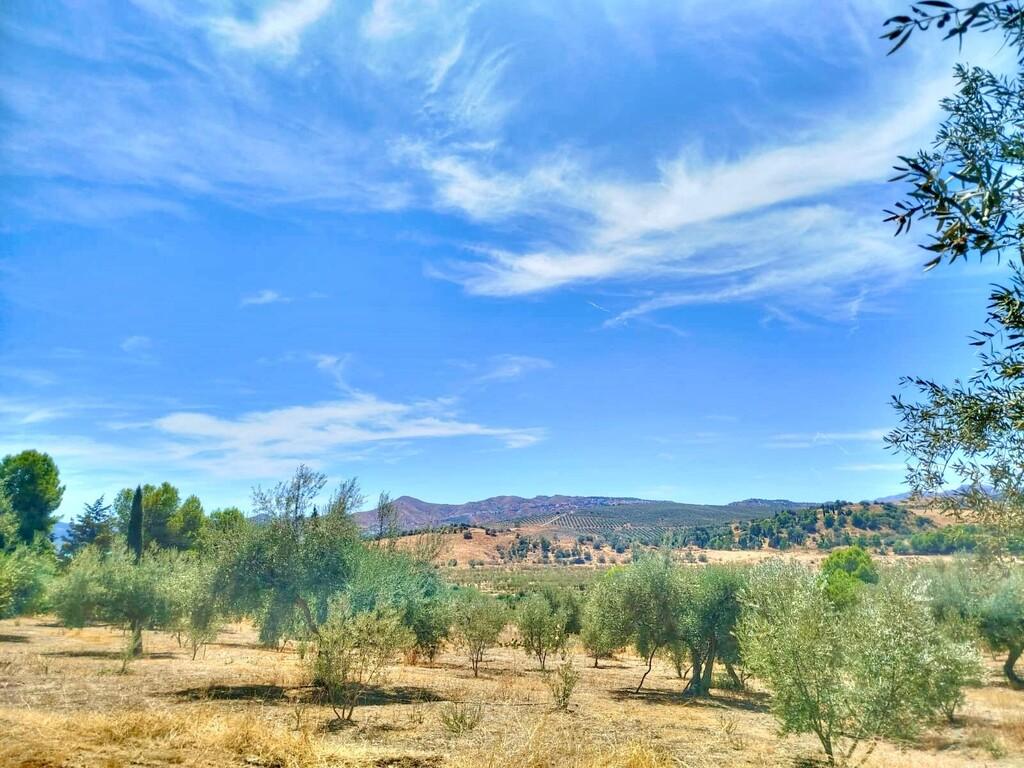 Building Site for Sale in Periana