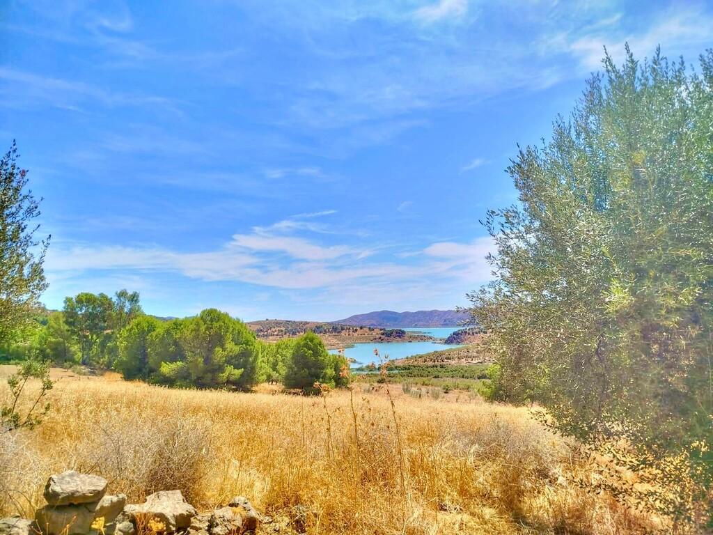 Building Site for Sale in Periana