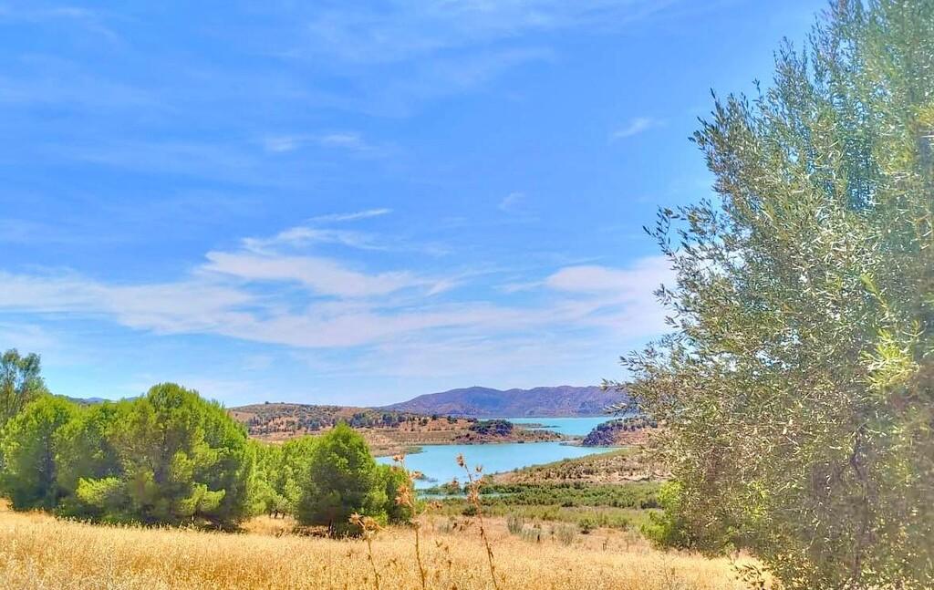Building Site for Sale in Periana