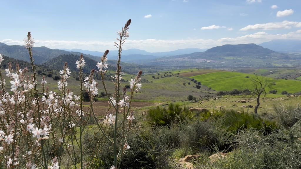 Villa en Venta en Álora