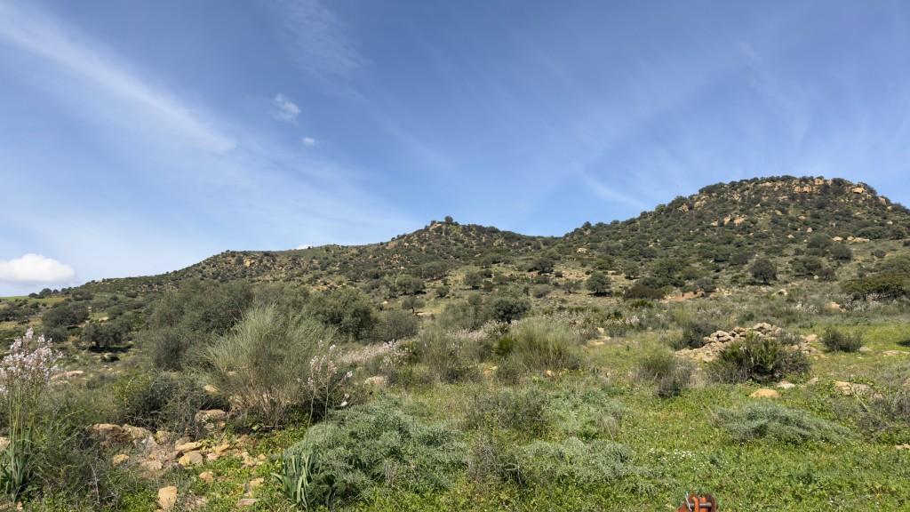 Villa for Sale in Álora