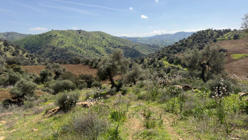 Villa for Sale in Álora