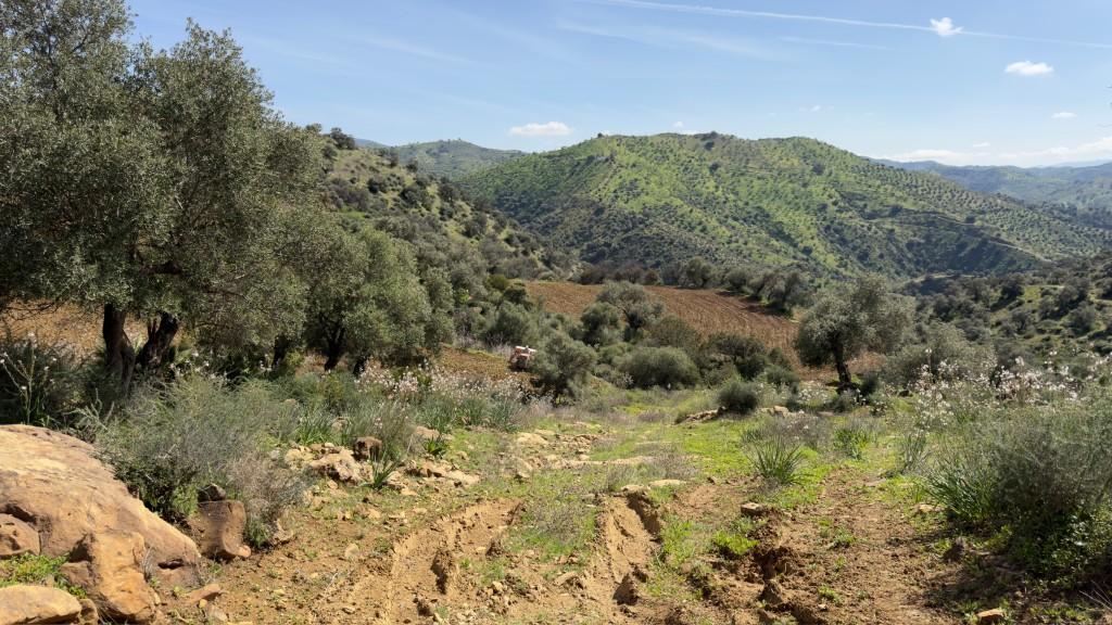 Villa en Venta en Álora