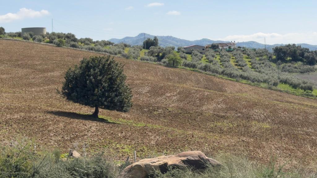 Villa en Venta en Álora