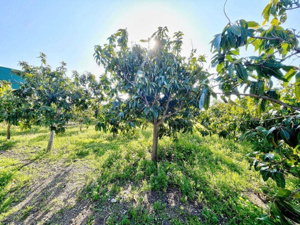 Casa en Venta en Vélez-Málaga