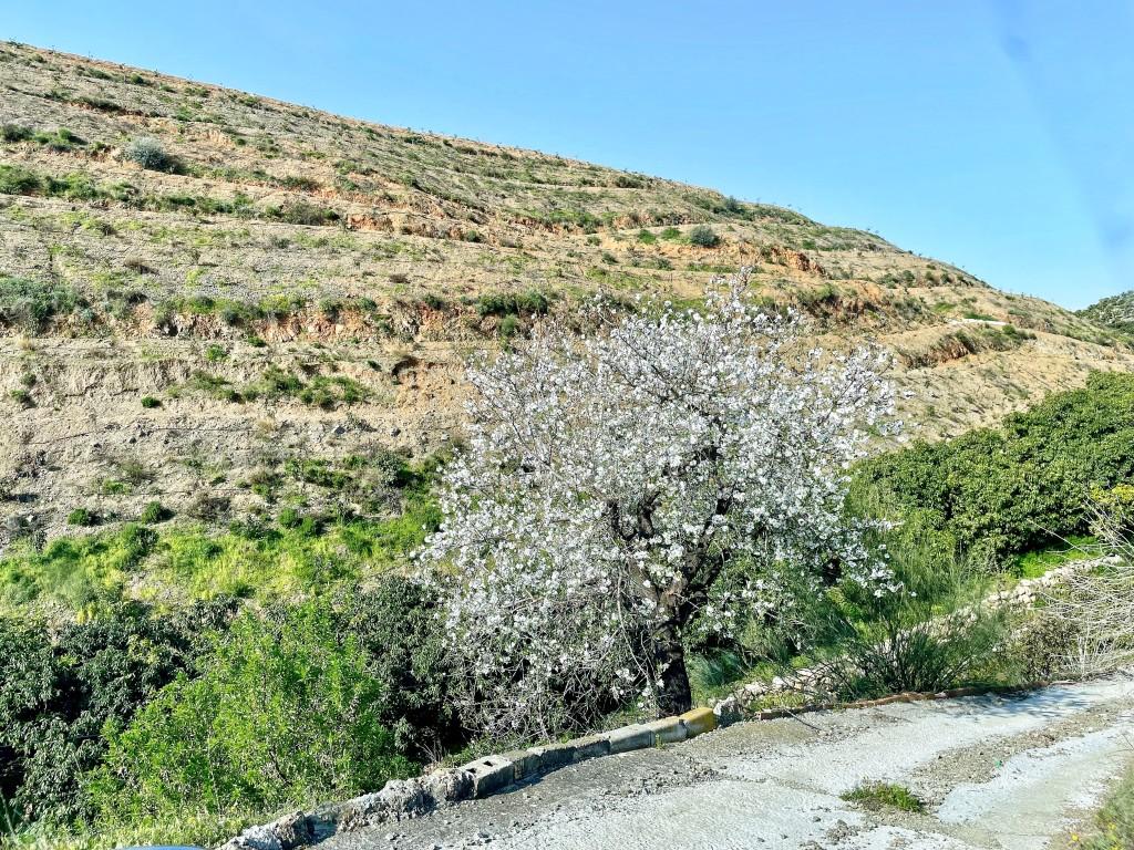 Casa en Venta en Vélez-Málaga