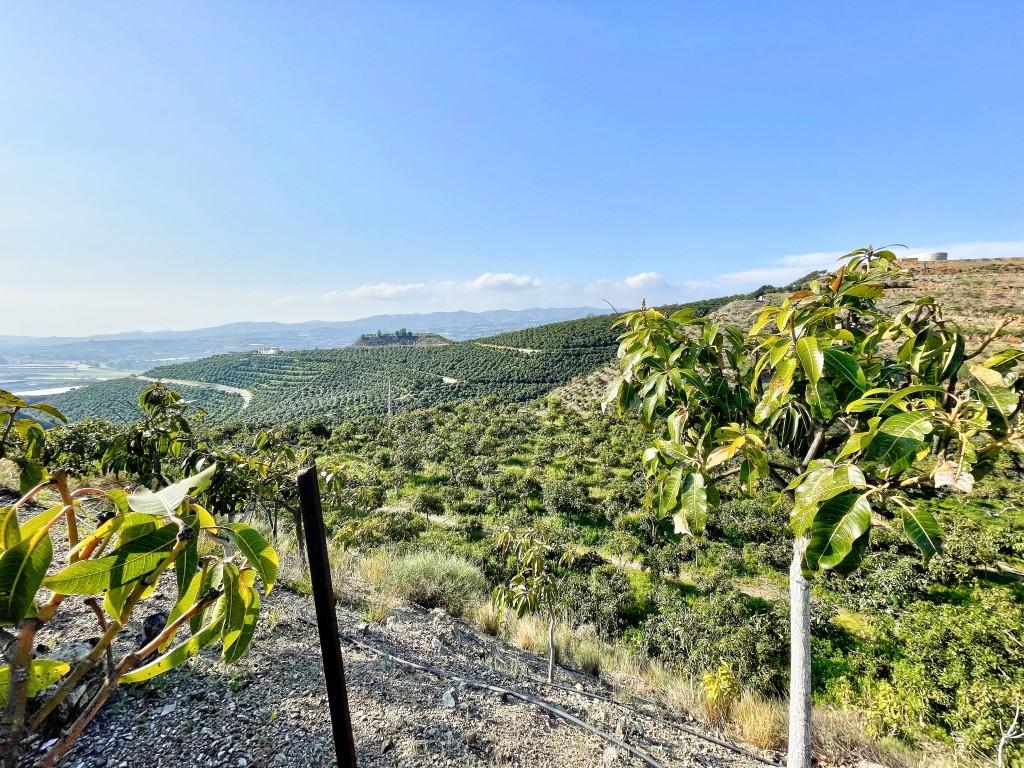 Casa en Venta en Vélez-Málaga