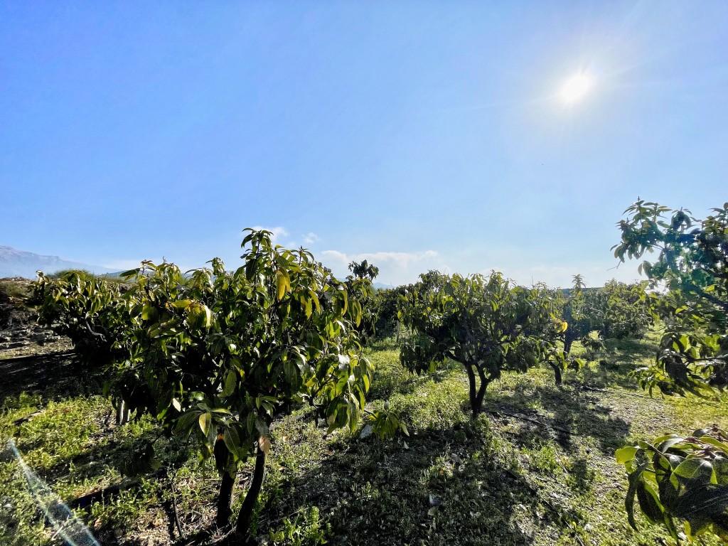 Casa en Venta en Vélez-Málaga