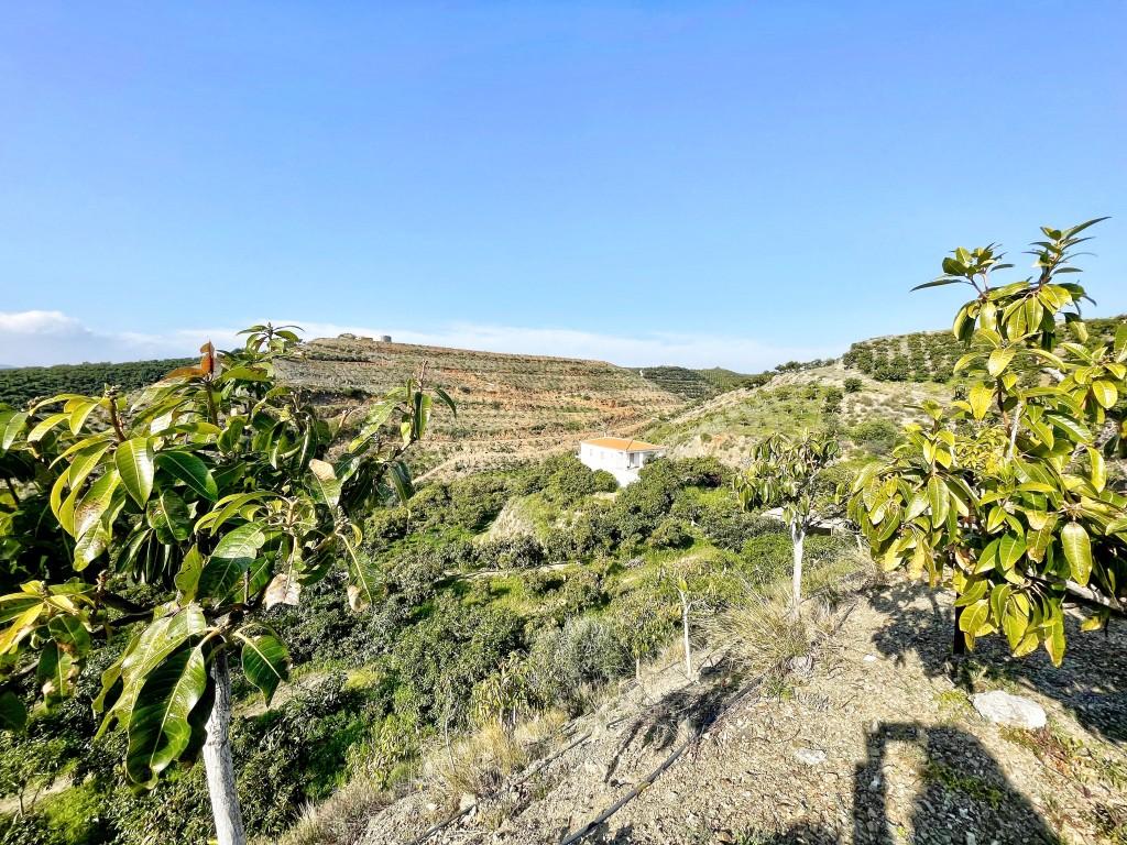 Casa en Venta en Vélez-Málaga