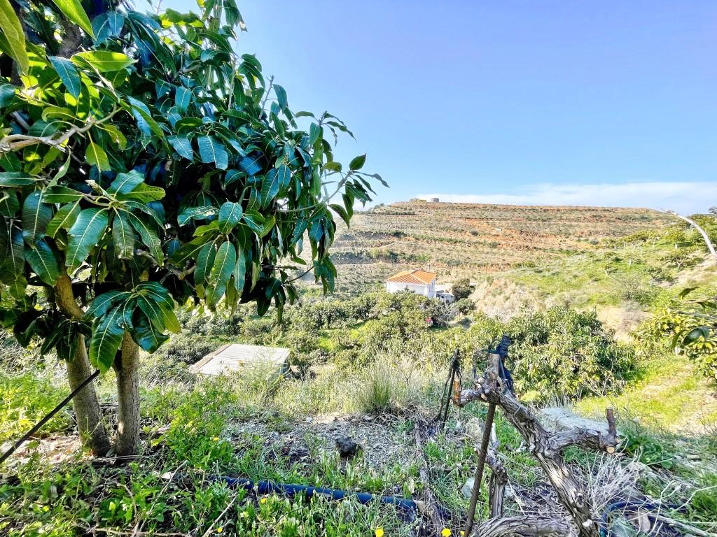 Casa en Venta en Vélez-Málaga