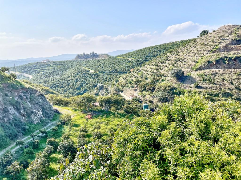 Casa en Venta en Vélez-Málaga