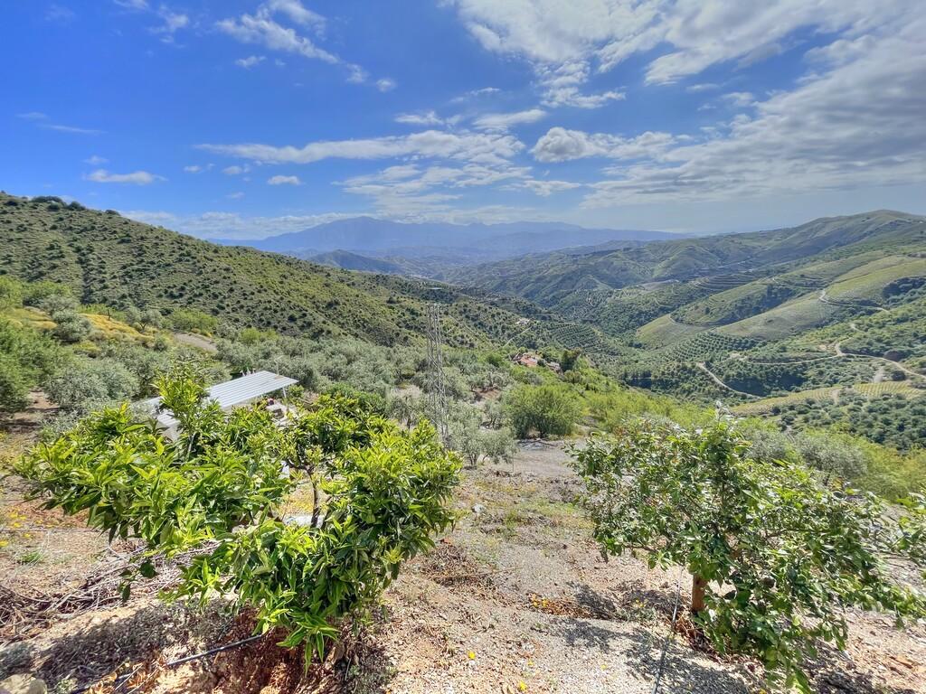 House for Sale in El Borge