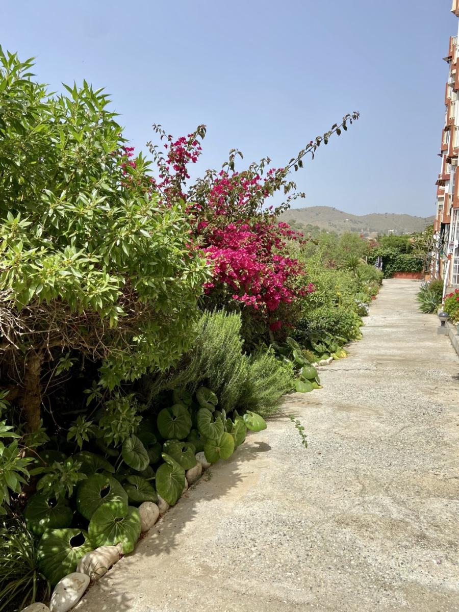 Piso en Alquiler en Benajarafe