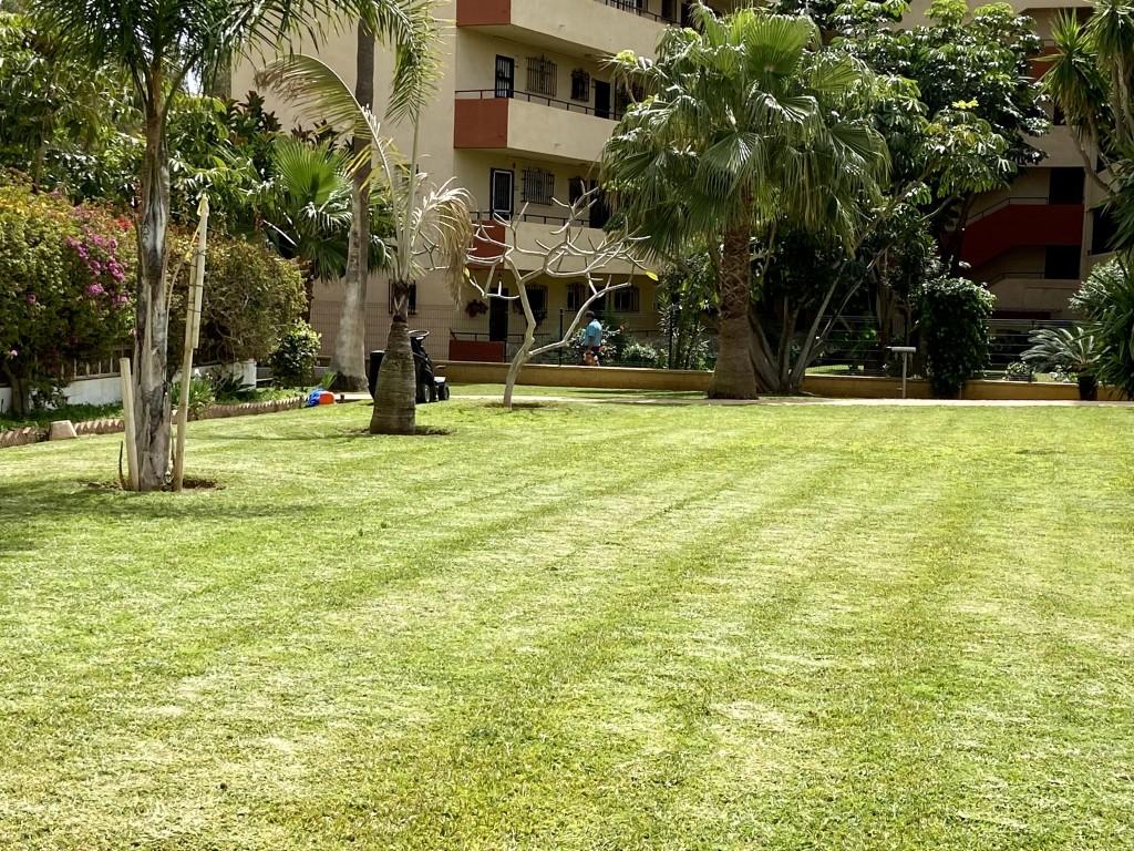 Piso en Alquiler en Benajarafe