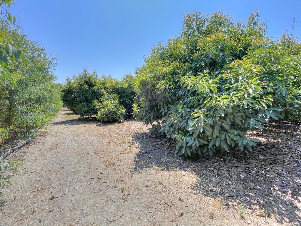 Casa en Venta en Vélez-Málaga